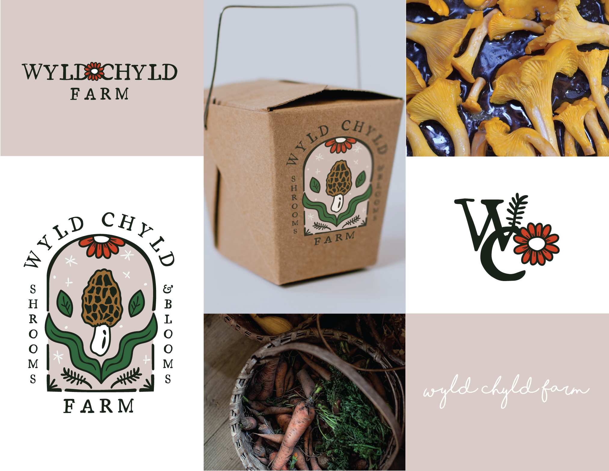 sustainable small family farm brand and logo design